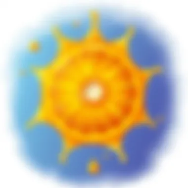Magnificent The Impact of Heat on Vitamin C: A Comprehensive Investigation Magnificent The Impact of Heat on Vitamin C: A Comprehensive Investigation
