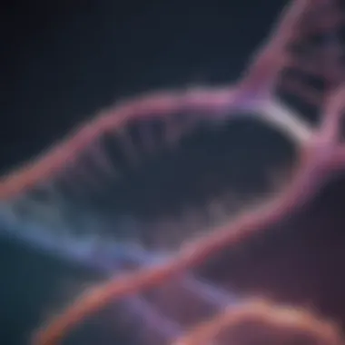 Magnificent Understanding CRISPR-Cas9: A Comprehensive Guide Magnificent Understanding CRISPR-Cas9: A Comprehensive Guide