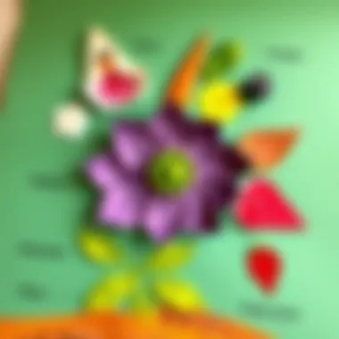 Creative art project depicting different parts of a plant