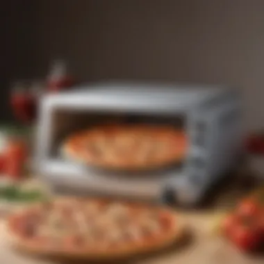 Advanced Pizza Cooking Appliance