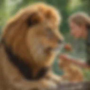 Zookeeper feeding lion at the zoo