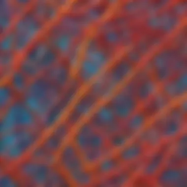 APA Abstract Structure APA Abstract Structure