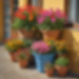 Vibrant flower pots with blooming petunias and marigolds on a balcony