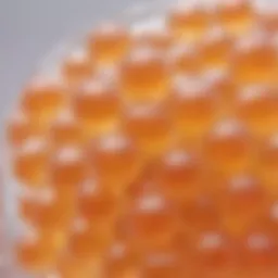Artistic illustration of boba pearls submerged in syrup