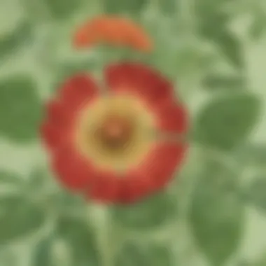 Creative Art Project - Botanical Discovery