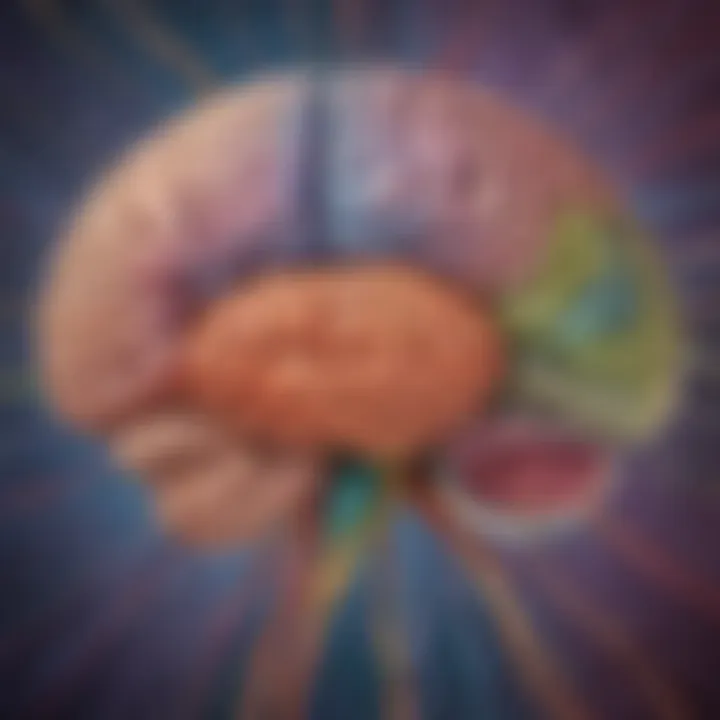 Illustration of brain mapping