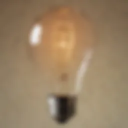 An early light bulb prototype showcasing its intricate filament design