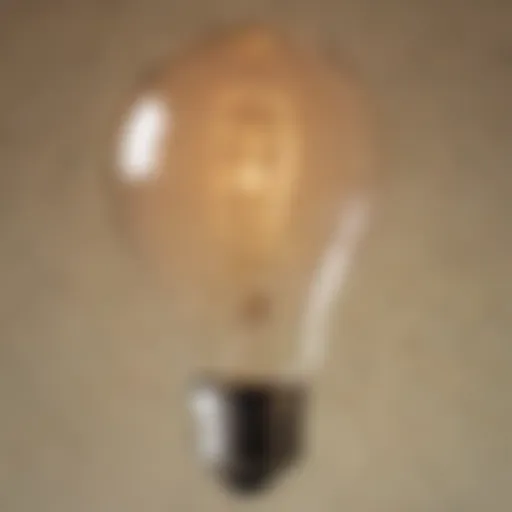 An early light bulb prototype showcasing its intricate filament design