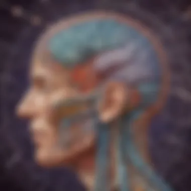 Intricate Cognitive Pathways A visual depiction of cognitive processes in the brain