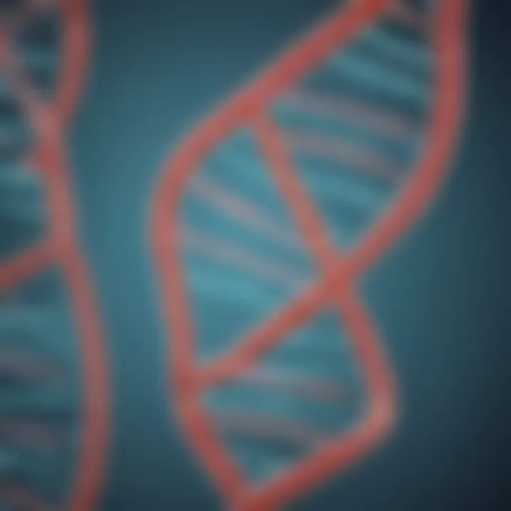 Visualization of extracted DNA strands under microscope