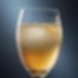 Sparkling Drink in Glass