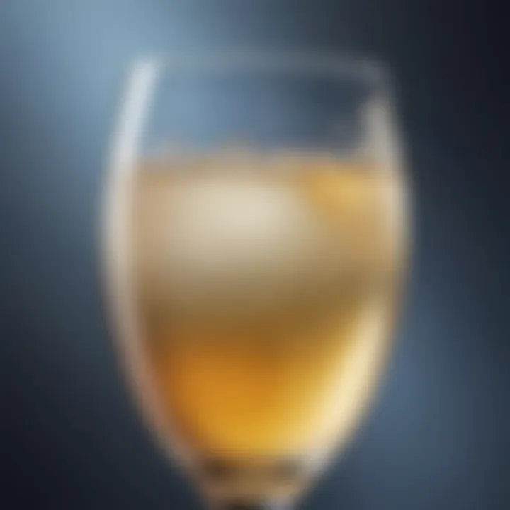 Sparkling Drink in Glass