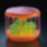 Glowing Slime Experiment