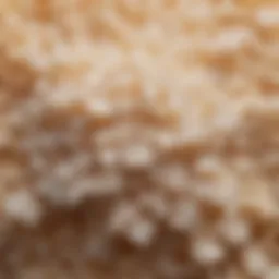 Close-up view of granulated sugar with a sparkling texture