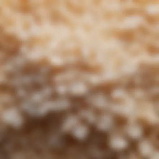 Close-up view of granulated sugar with a sparkling texture
