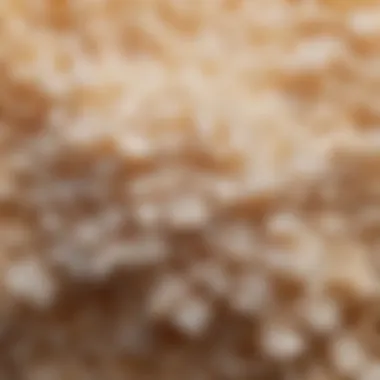 The Beauty of Granulated Sugar Close-up view of granulated sugar with a sparkling texture