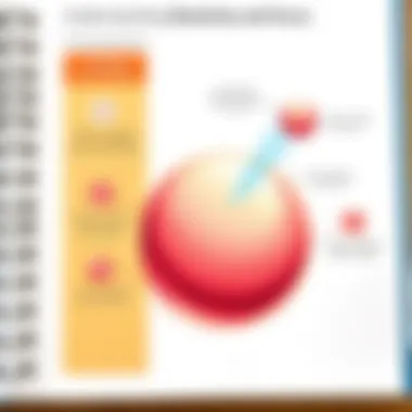Understanding Elasticity and Force A diagram illustrating the scientific principles of elasticity and force.