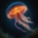 A vibrant bioluminescent jellyfish illuminating the dark ocean depths.