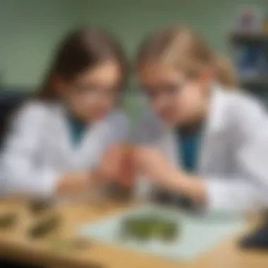 Curious Child Engaging in Virtual Frog Dissection