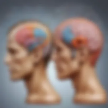 Cognition and Brain Hemispheres Illustration demonstrating cognitive functions