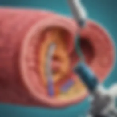 Illustration of a microscope zooming into the digestive system