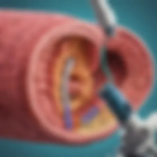 Illustration of a microscope zooming into the digestive system