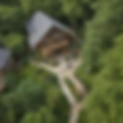 Aerial view of DIY zipline setup in a lush backyard