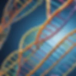 Illustration of DNA double helix structure