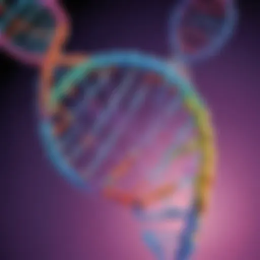 Illustration of a DNA molecule structure