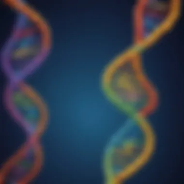 DNA Wonder in LabLittles