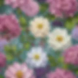 Enigmatic Blossoms and Aromatic Charms