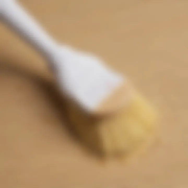 Stain Removal Brush for Slime Stains