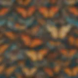 Intricate Patterns of Butterfly Wings