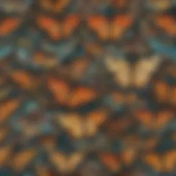 Intricate Patterns of Butterfly Wings