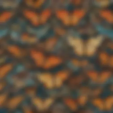 Intricate Patterns of Butterfly Wings Intricate Patterns of Butterfly Wings
