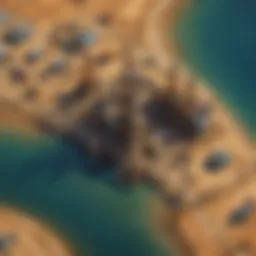 Aerial view of oil fields highlighting fossil fuel extraction