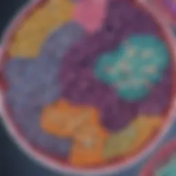 Close-up of a bacteria culture plate showcasing vibrant colonies