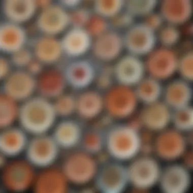 Different types of culture plates arranged on a table