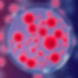 Petri dish with bacterial colonies