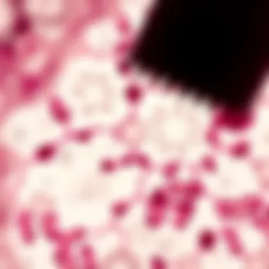 Microscopic View of Cellular Structures A close-up of a microscope view revealing cellular structures.