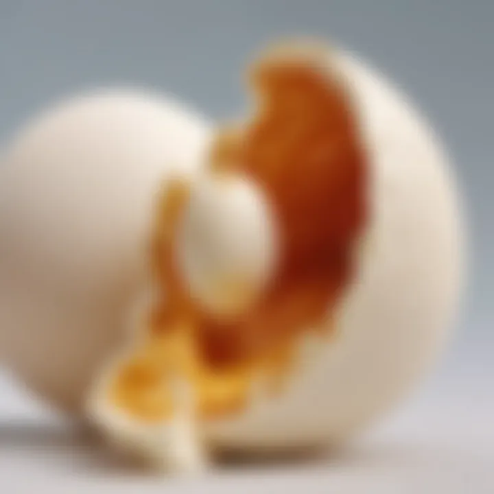 Close-up illustration of a chick using its egg tooth to break the shell