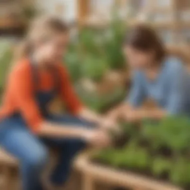 Youth building a sustainable mini-garden in a classroom