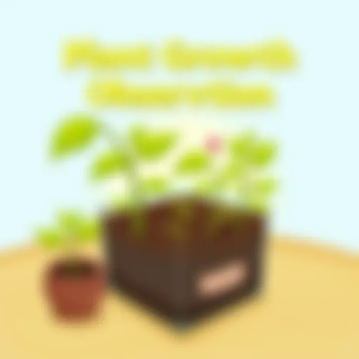 Plant growth observation showcasing the life cycle of plants