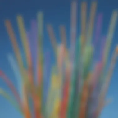 A visual representation of the environmental impact of using straws.