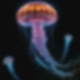 Bioluminescent Jellyfish in the Deep Sea