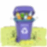 Exploring Innovative Recycling Bin Ideas for Young Scientists Introduction