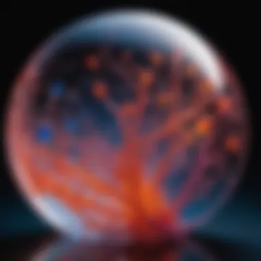 Hydrogel Elegance Hydrogel Elegance