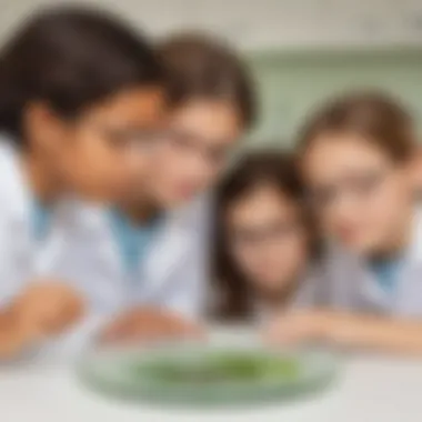 Children observing mold growth in a petri dish