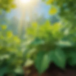 Vibrant plant growth in sunlight
