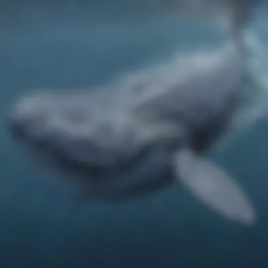 The Magnificent Blue Whale: Nature's Gentle Giant A majestic blue whale swimming gracefully in the ocean